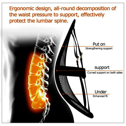 Ergonomic Design comfort lumbar support Structure and function description